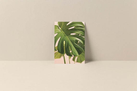 Monstera Leaf Botanical Art Print, Tropical Plant
