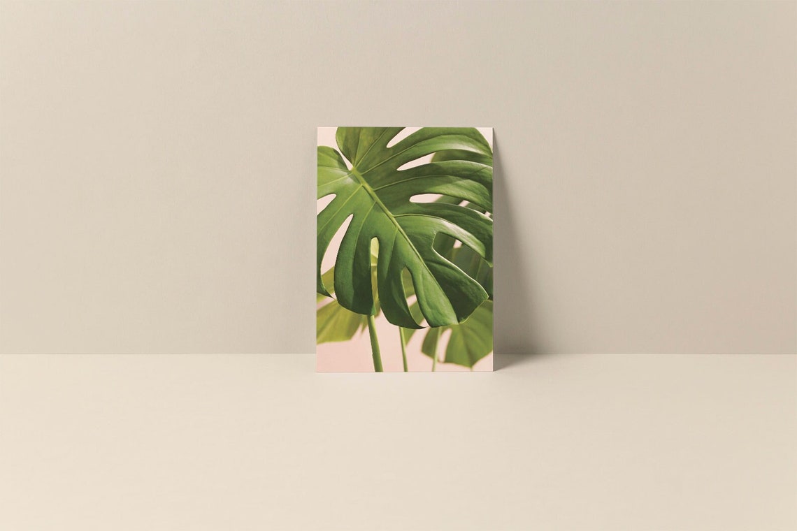 Monstera Leaf Botanical Art Print, Tropical Plant