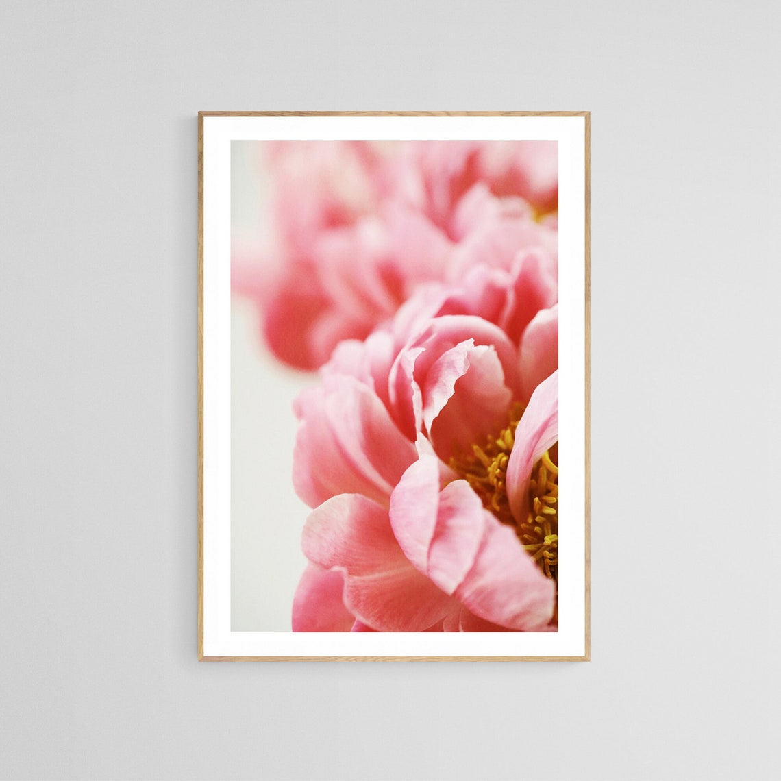 Peony Photograph, Botanical Floral Art Print