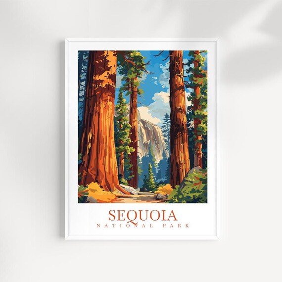 Sequoia National Park Giant Redwoods Granite Dome Forest Poster