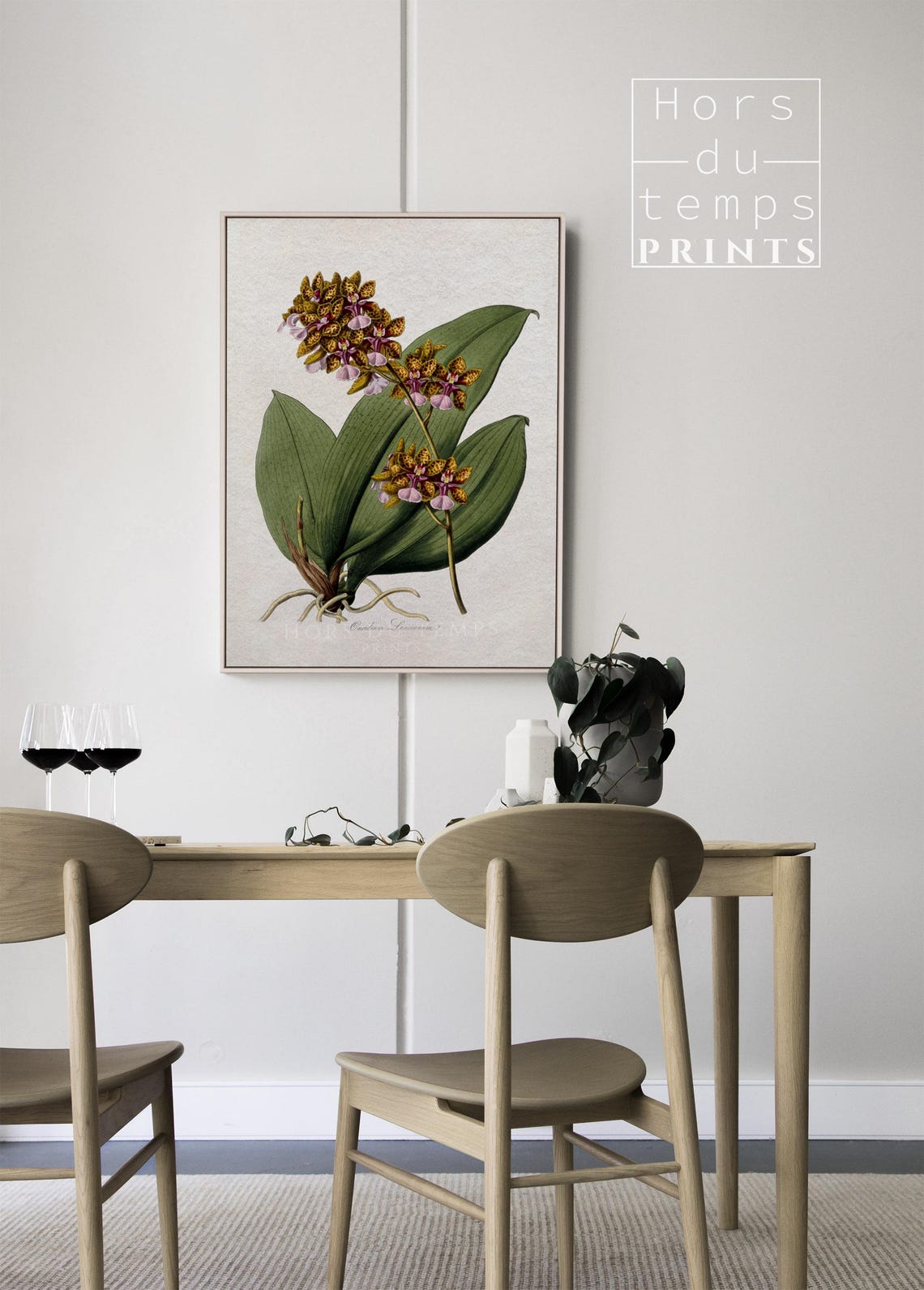 Antique Oncidium Orchid Botanical Illustration Flower Art Poster - Image 2
