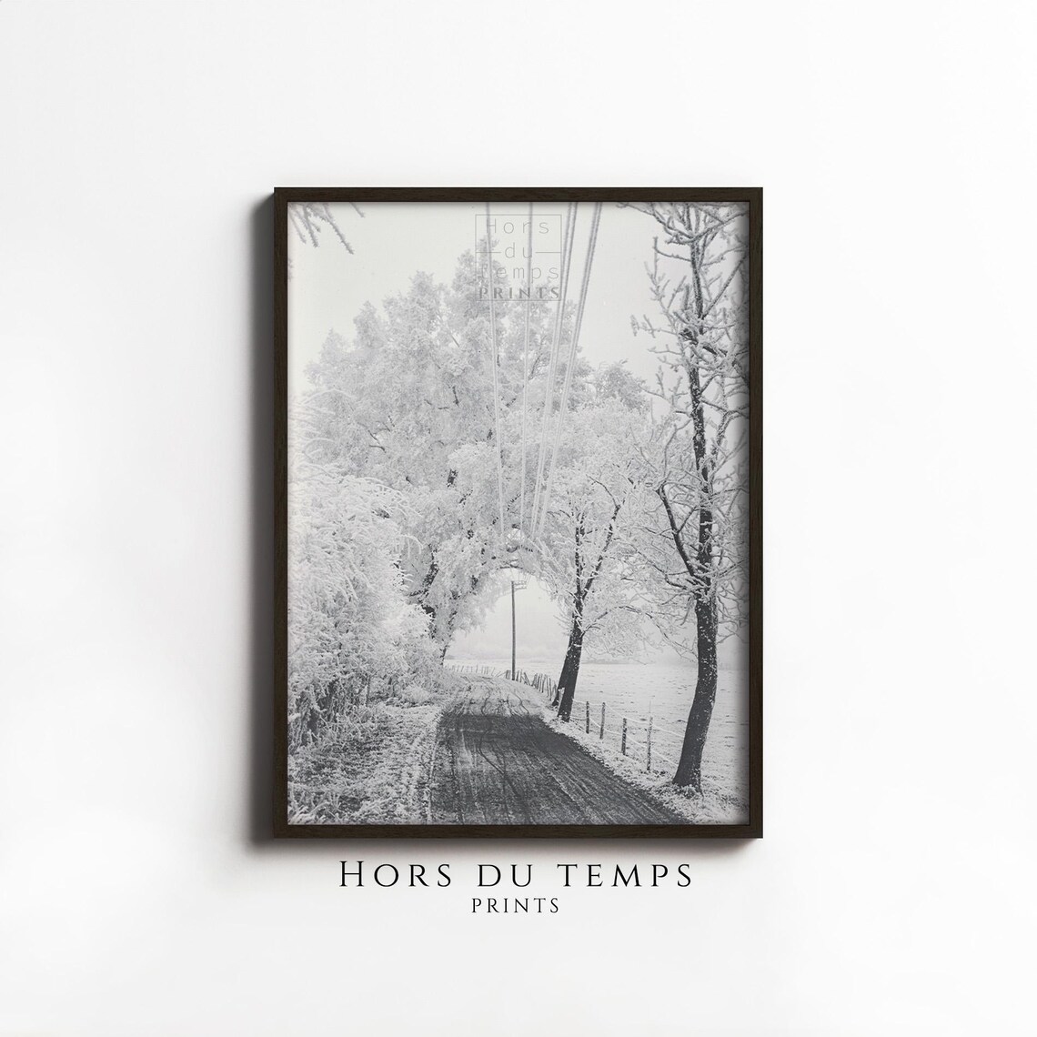 Frosted Trees Snowy Country Lane Vintage Winter Photograph Poster