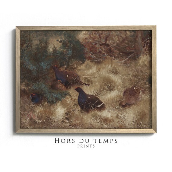 Black Grouse Autumn Heath Vintage Game Bird Oil Painting Poster