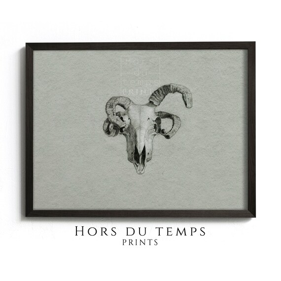 Ram Skull Drawing Sketch Gothic Dark Academia Vintage Poster