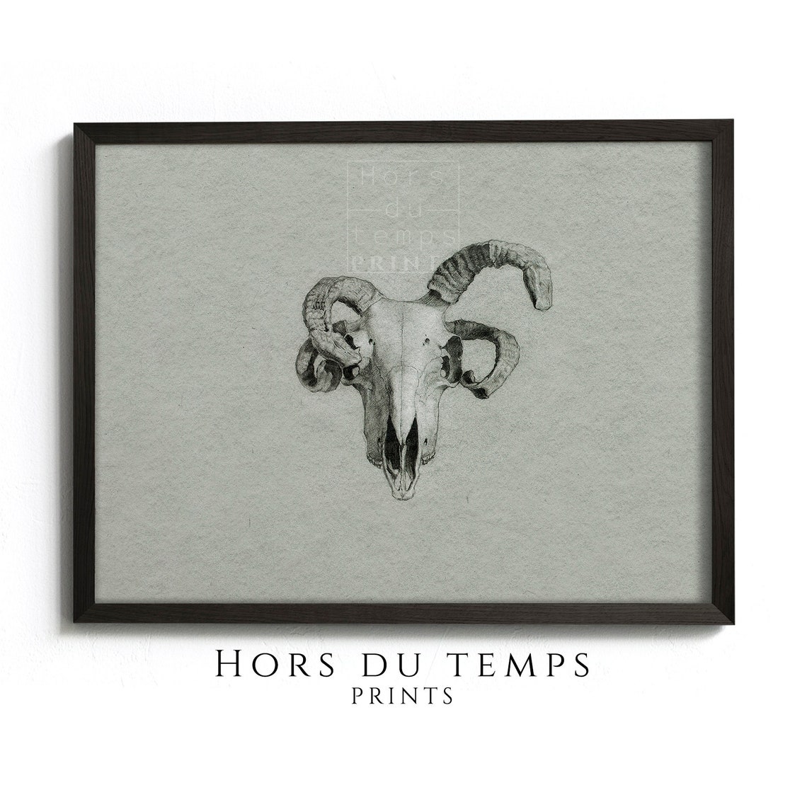 Ram Skull Drawing Sketch Gothic Dark Academia Vintage Poster