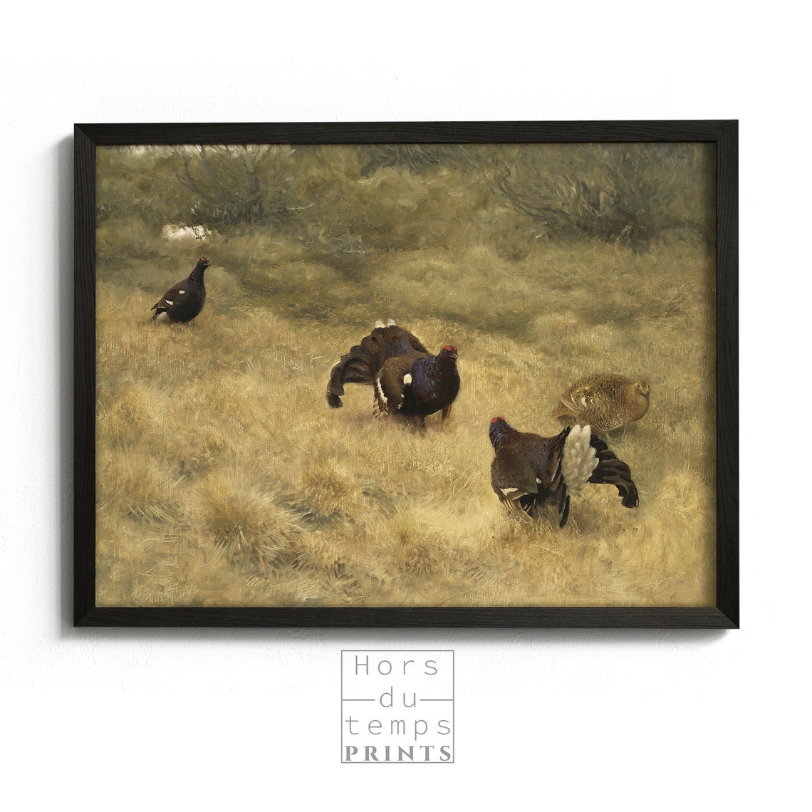 Black Grouse Lek Display Golden Moor Vintage Wildlife Painting Poster - Image 2