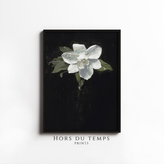White Magnolia Blossom Black Background Vintage Floral Painting Wall Art