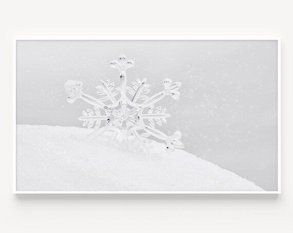 Crystal Snowflake on Fresh Snow Macro White Winter Photography Poster