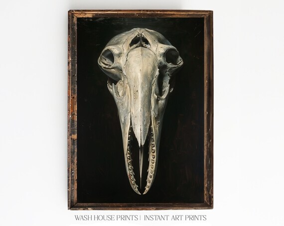 Humpback Whale Skull on Black Background Gothic Moody Poster