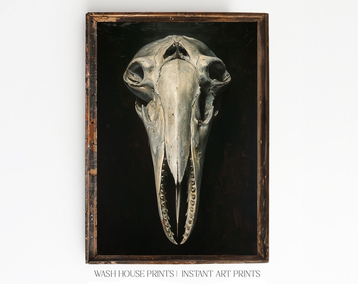 Humpback Whale Skull on Black Background Gothic Moody Poster