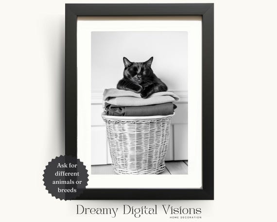 Black Cat Sleeping on Laundry Basket, Laundry Room Art Print