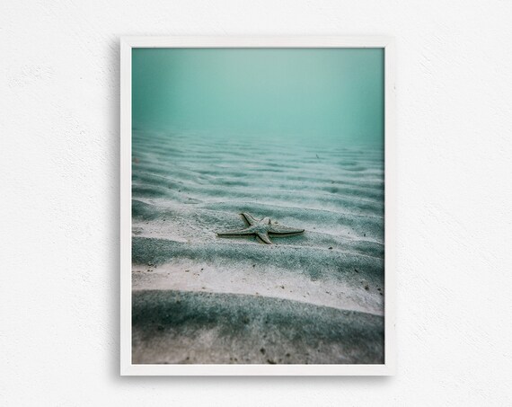 Starfish Print Beach Wall Decor Beach Print Ocean Print Tropical Aquatic Ocean Print