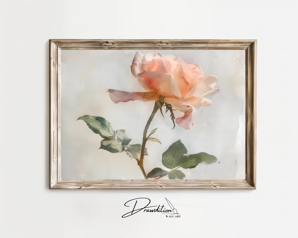 Apricot Blush Rose Single Flower Watercolor Botanical Wall Art Print