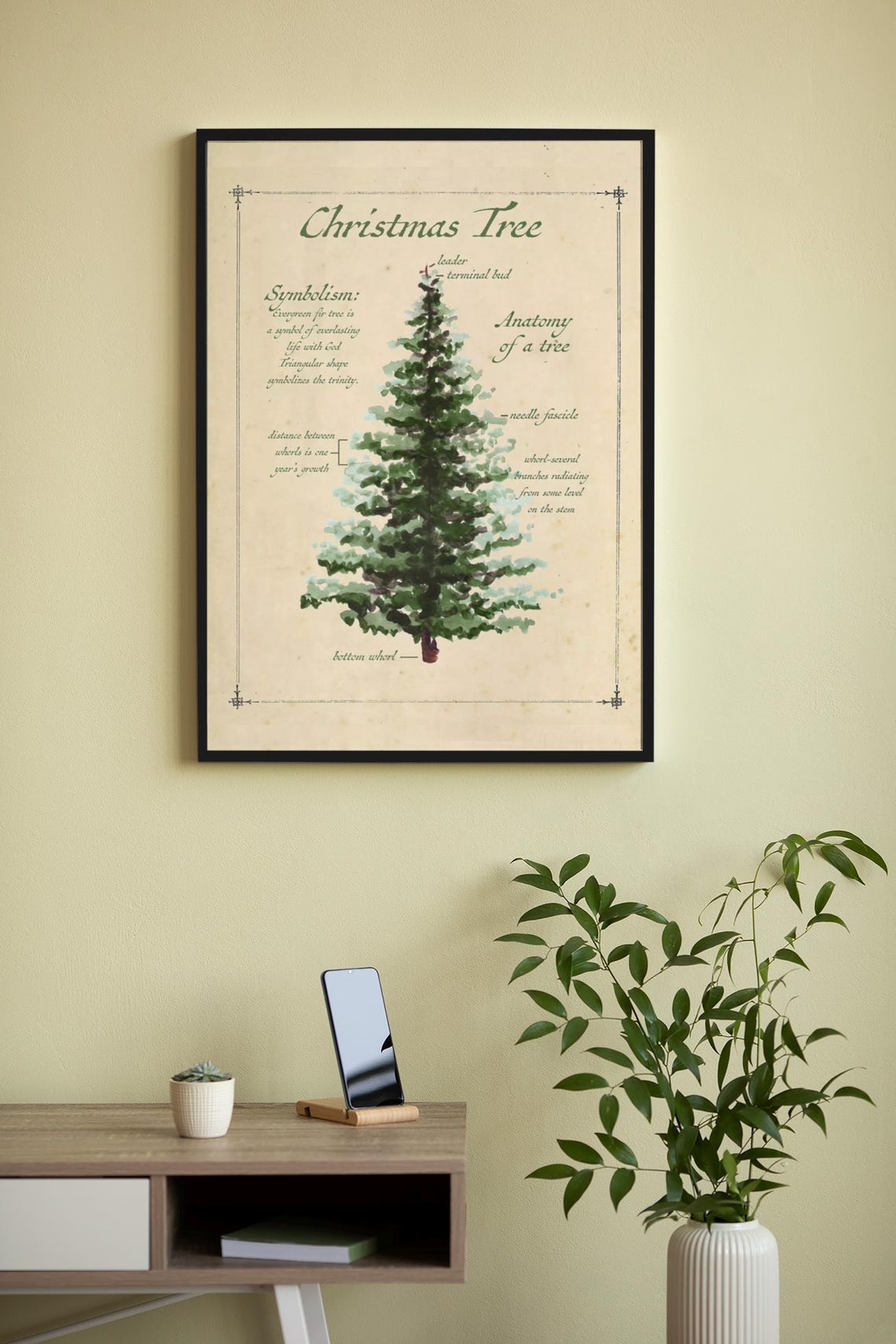 Christmas Tree Anatomy and Symbolism Vintage Botany Study Poster - Image 3