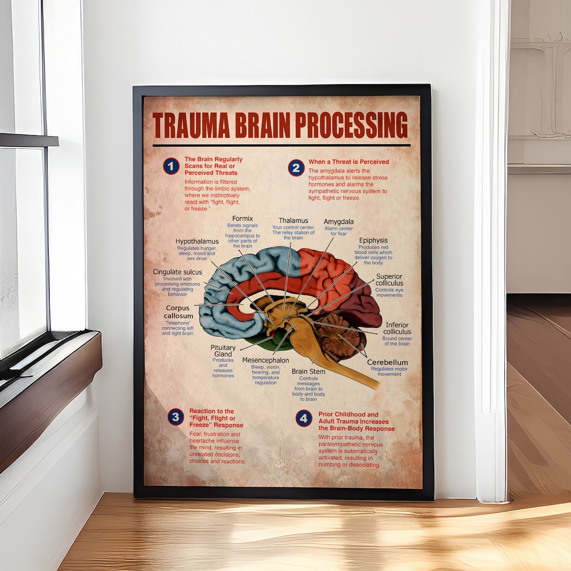 Trauma Brain Processing Poster, Mental Health Guidance