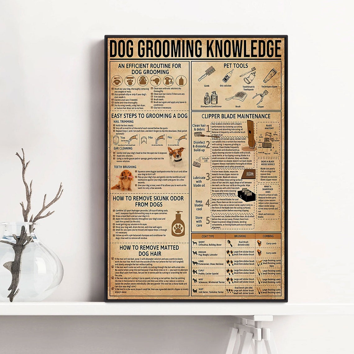 Dog Grooming Knowledge Routine Tools Tips Vintage Pet Care Poster - Image 4
