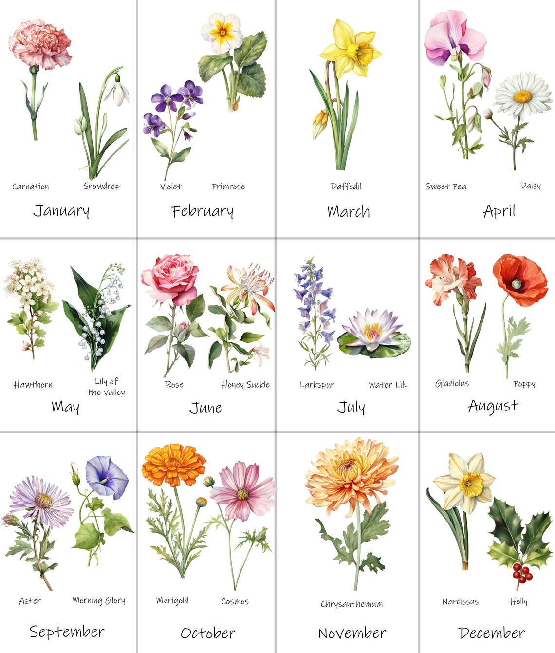 Grandmas Garden Birth Flowers Watercolor Botanical Family Poster - Image 2