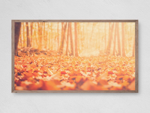 Fall Leaves - Frame TV Art