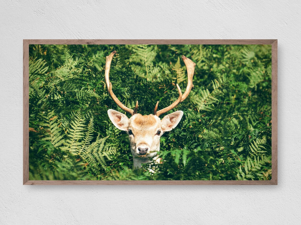 Peekaboo Deer Winter Art Print for Frame TV
