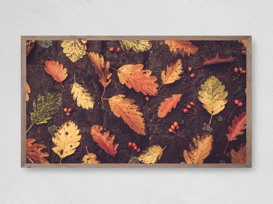 Autumn Fall Leaves Berries Flat Lay Photography Dark Rustic Wall Art Poster