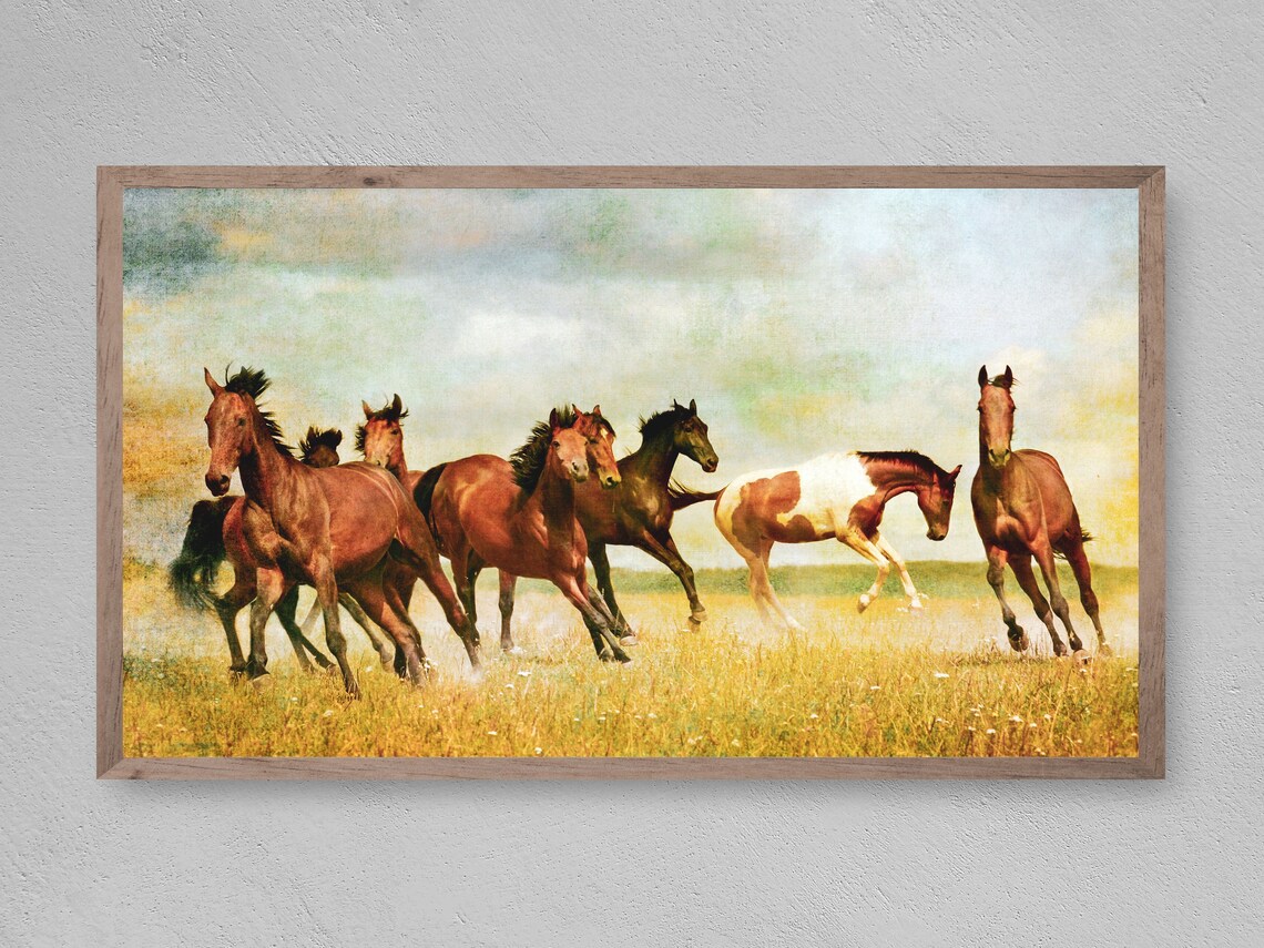 Wild Horses TV Art, Animal Wall Art Print