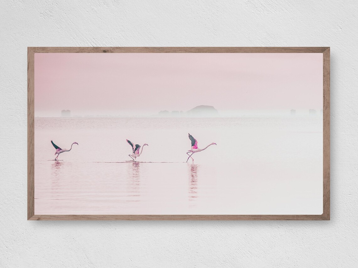 Wild Flamingos Art Print, Bird Wildlife Decor