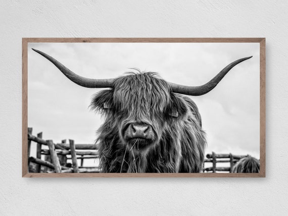 Farmhouse Highland Cow Art Print, Instant Decor