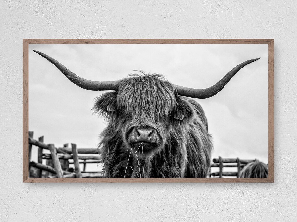 Farmhouse Highland Cow Art Print, Instant Decor