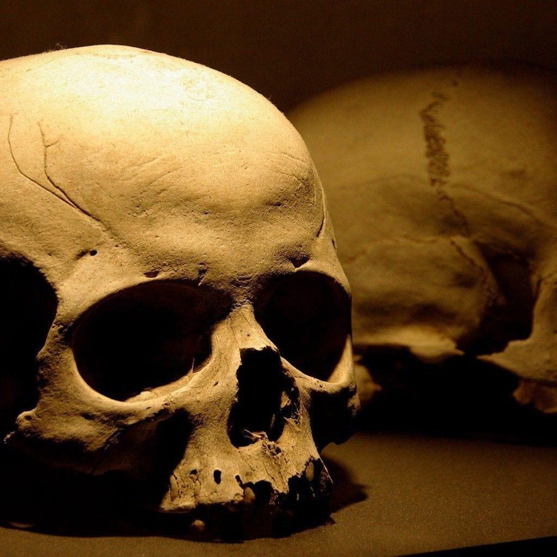 Dark Skulls - Moody Skull Art Print - Image 2