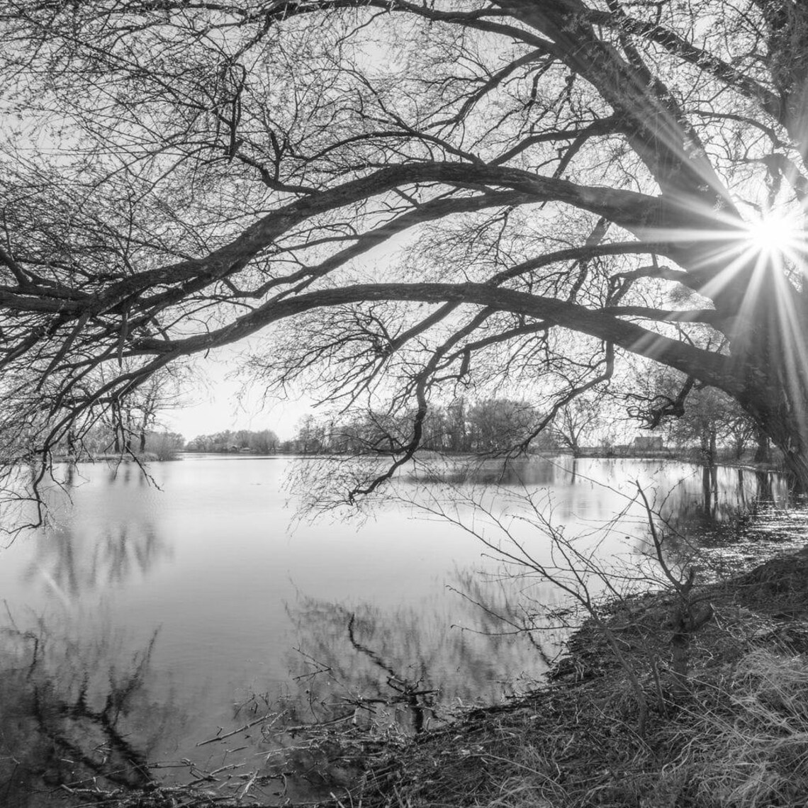 Black White Lake, Minimalist Nature Art Print - Image 2