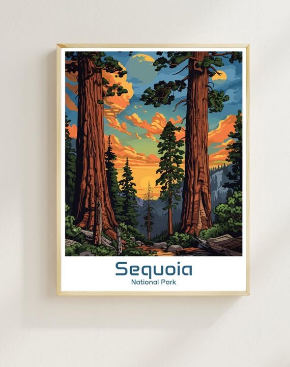 Sequoia National Park Poster Towering Redwoods at Sunset Travel Art