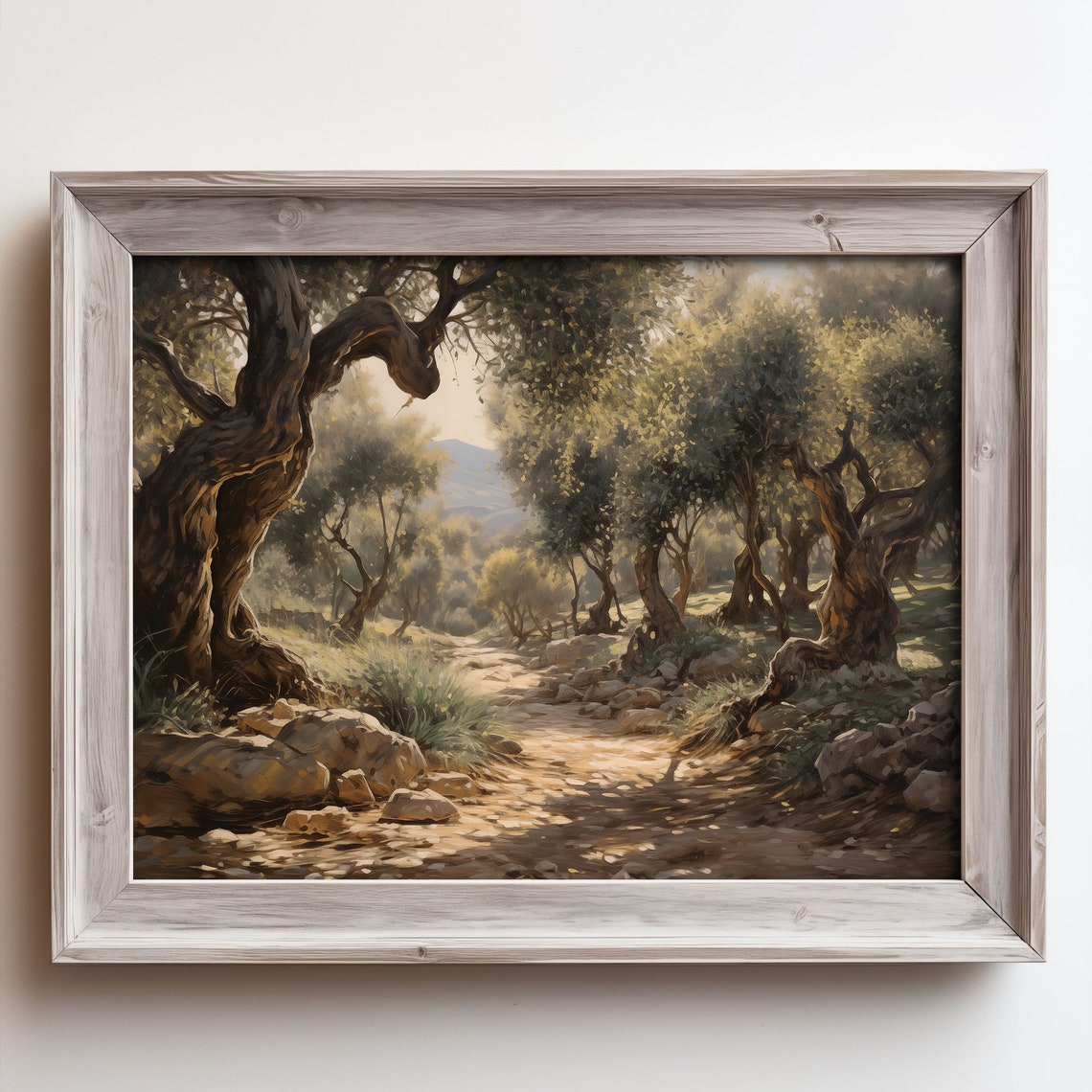 Ancient Olive Tree Grove Rocky Path Sunlight Oil Painting Poster