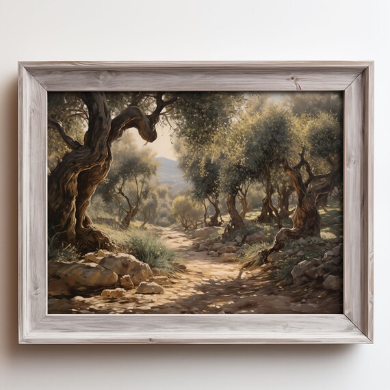 Ancient Olive Tree Grove Rocky Path Sunlight Oil Painting Poster