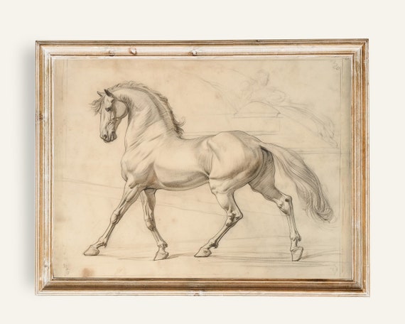 Vintage Horse Sketch Art Print, Victorian Decor