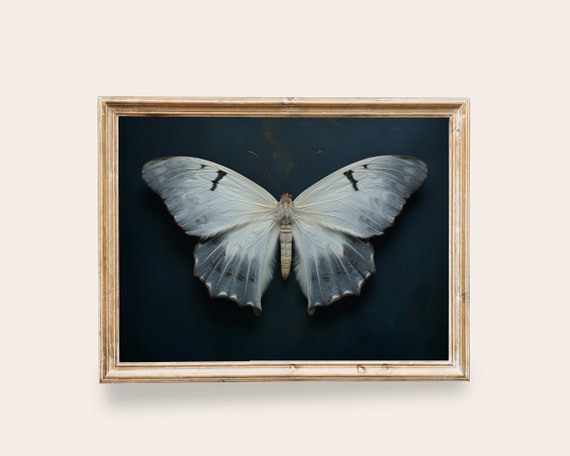 Pale Blue Butterfly Moth Art Butterfly Art Vintage Wall Art Butterfly Painting Dark Academia Decor Goth Moth Print