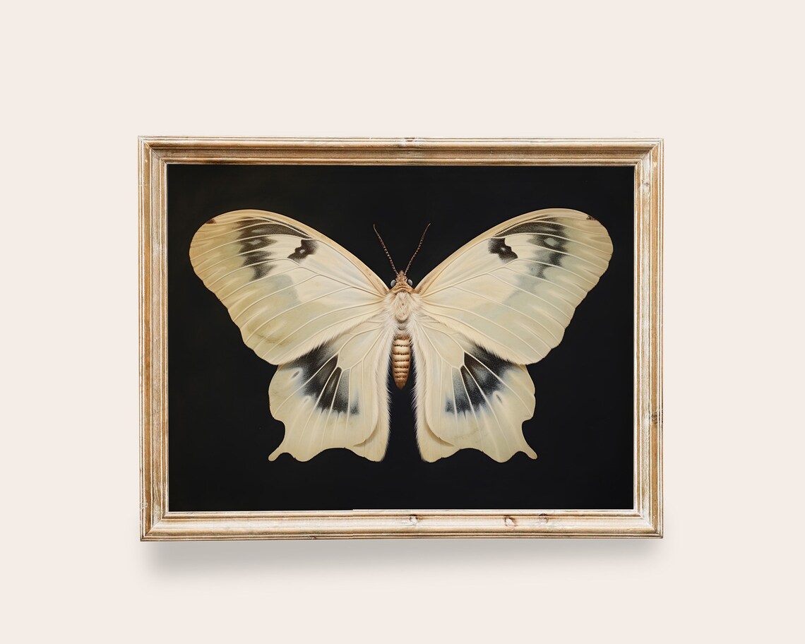 White Moth Victorian Vintage Art Print, Dark Academia