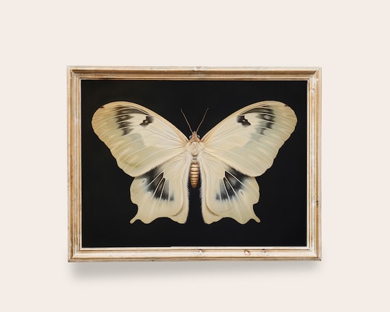 White Moth Victorian Vintage Art Print, Dark Academia