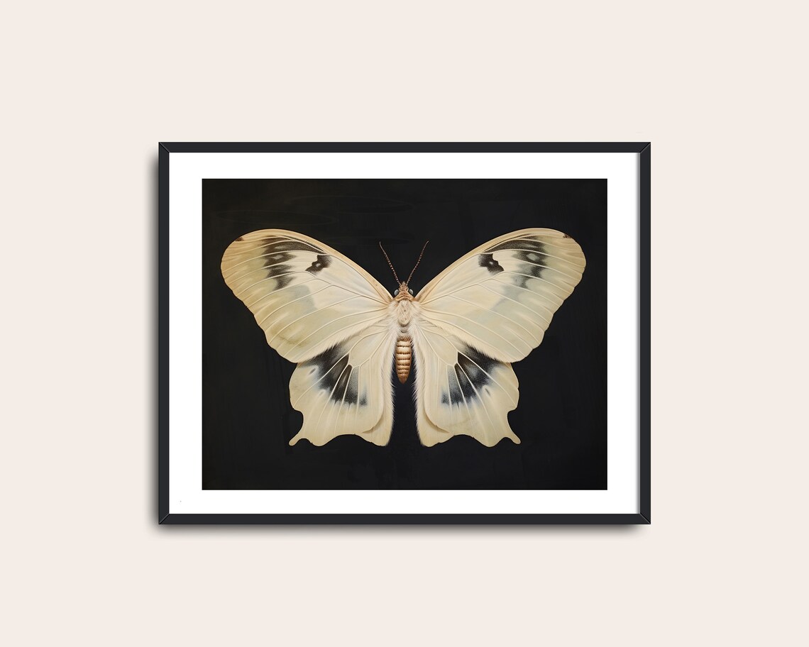 White Moth Victorian Vintage Art Print, Dark Academia - Image 2