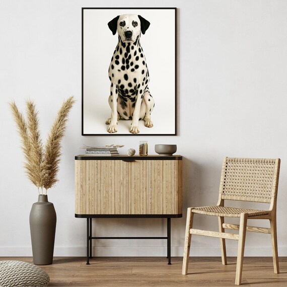 Dalmatian Classic Sitting Pose Clean White Studio Portrait Dog Poster