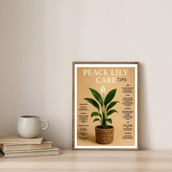 Peace Lily Care Tips Wall Art Spathiphyllum Plant Guideindoor Houseplant Decor Botanical For Lovers