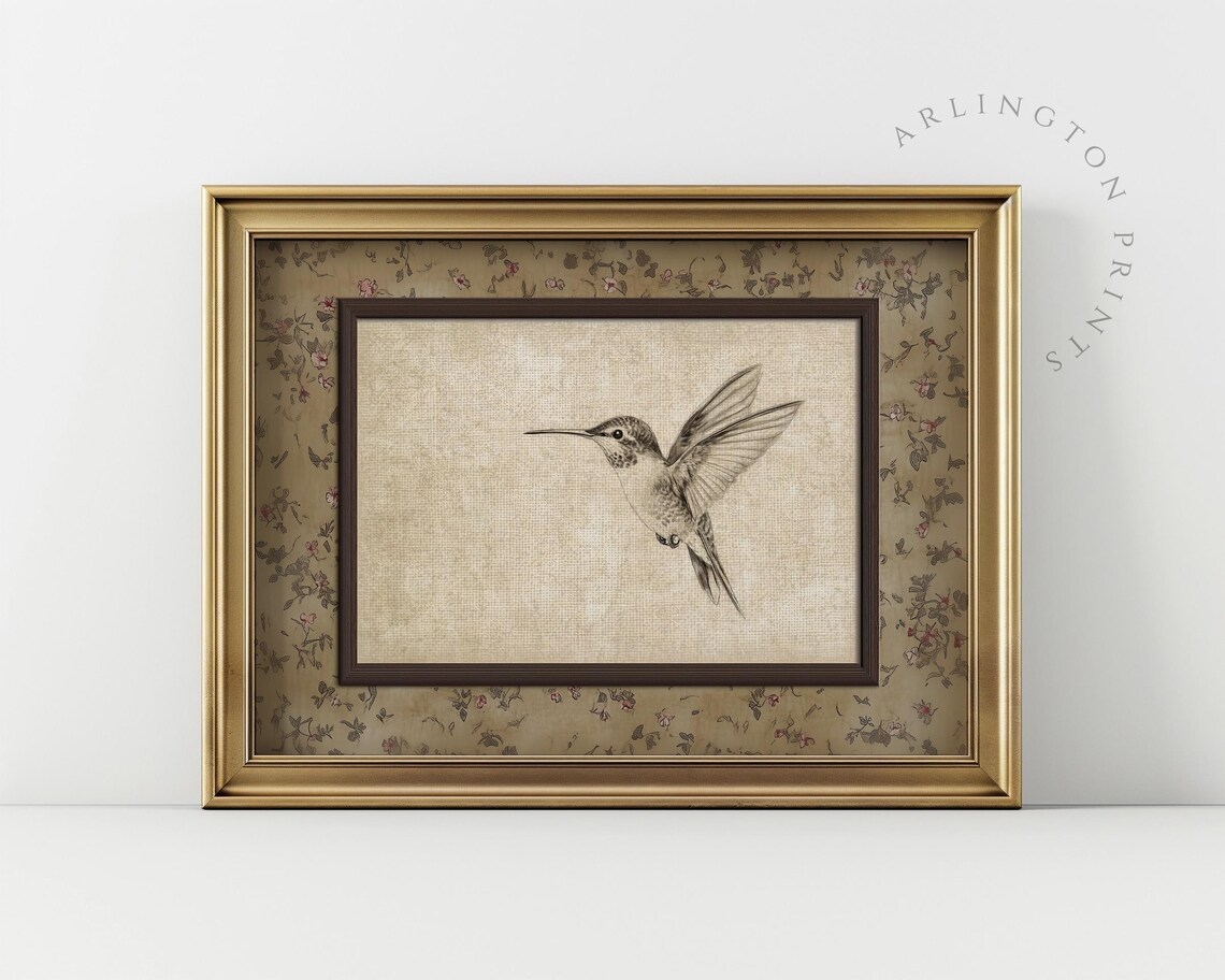 Vintage Hummingbird Sketch, Rustic Bird Art Print