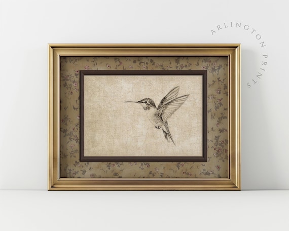 Vintage Hummingbird Sketch, Rustic Bird Art Print