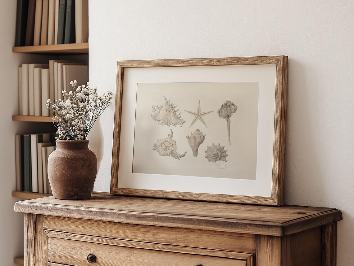 Neutral Coastal Seashell Sketch Art Print, Vintage Boho - Image 4