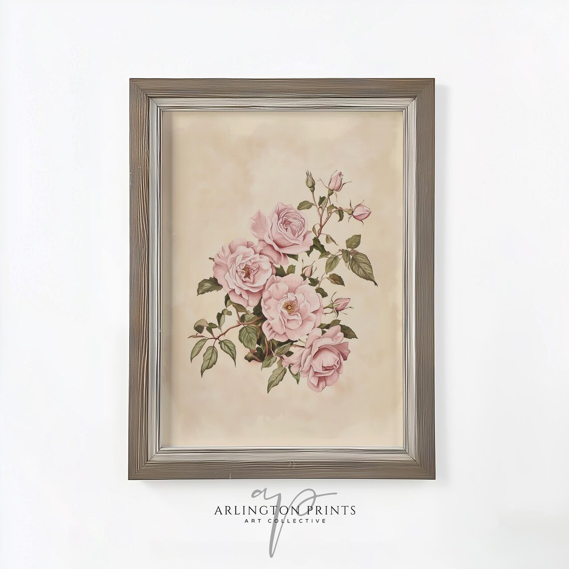 Antique Pink Rose Branch Botanical Study Cream Vintage Floral Print