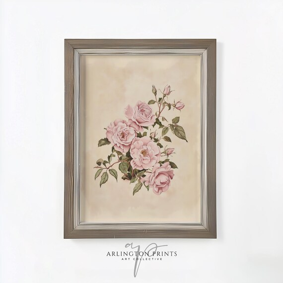 Antique Pink Rose Branch Botanical Study Cream Vintage Floral Print