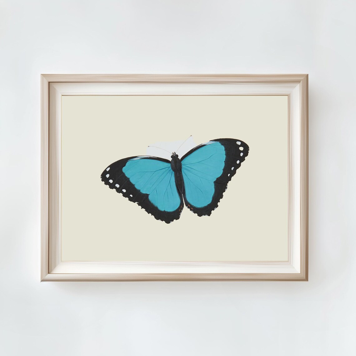 Blue Morpho Butterfly Specimen Cream Vintage Nature Art Poster