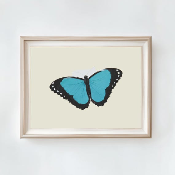 Antique Butterfly Art Print Vintage Nursery Decor Blue Butterfly Art Antique Moth Wall Art