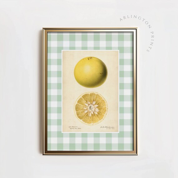 Citrus Grapefruit Fruit Print Vintage Country Kitchen Wall Art Farmhouse Kitchen Print Yellow Green Gingham Print Ta78