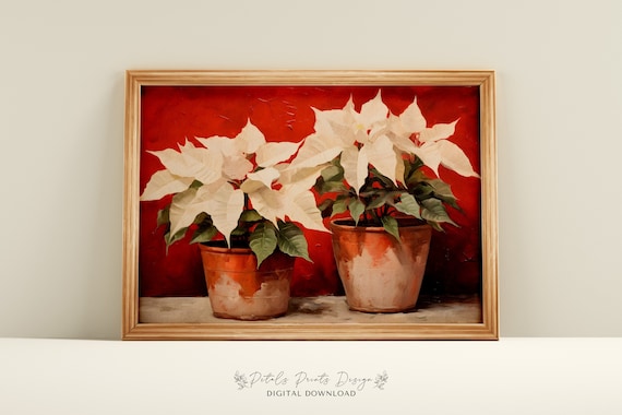 Poinsettia Rustic Christmas Art Print, Vintage Holiday