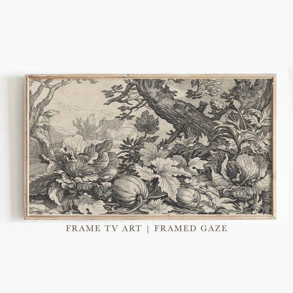Vintage Pumpkin Patch Engraving Harvest Garden Scene Frame TV Art